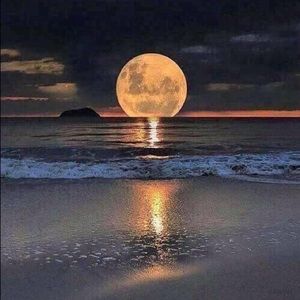 Meet your Posher, Dale